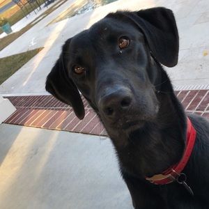 Meet your Posher, Bradley